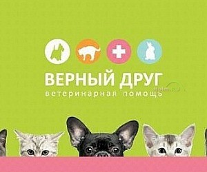Ветеринарная клиника Верный друг на Нижегородской улице