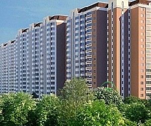 Агентство недвижимости Район в Октябрьском районе