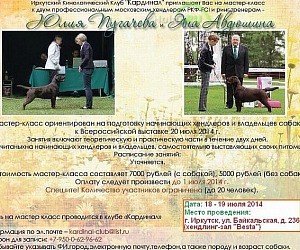 Иркутская городская общественная организация любителей животных Кардинал