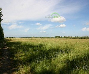 Компания по продаже земельных участков Мартьяновские просторы