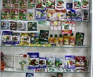Сайт планета семян волгоград. Магазин семена на Хиросима. Магазин семена на Хиросима в Волгограде. Волгоград магазин Планета семян каталог товаров.