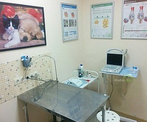 Ветеринарная клиника Доктор Хвост у метро Тёплый стан