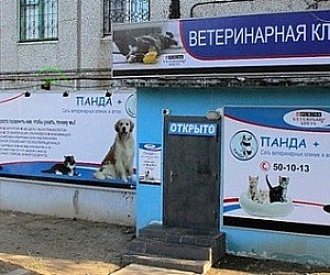 Ветеринарная клиника Панда+ на Полесской улице