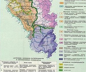 Территориальный фонд геологической информации по Сибирскому федеральному округу
