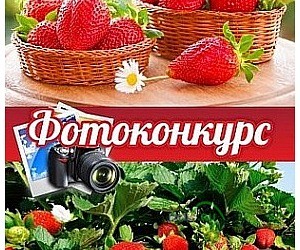 Сеть садовых центров ВИКТОРИЯ на Комсомольской улице