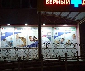 Ветеринарная клиника Верный друг на улице Щербакова