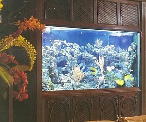 Фирма по обслуживанию аквариумов Аквасервис