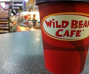 Кофейня Wild bean cafe на метро Ясенево