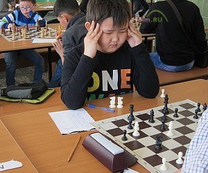 Шахматная школа Золотой Ферзь