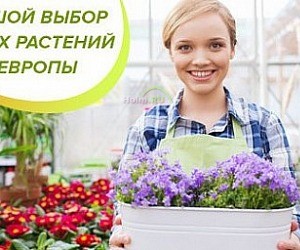 Интернет-магазин комнатных растений и свежих цветов Флоритайм на Новодмитровской улице, 5а стр 3