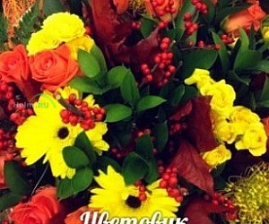 Сеть магазинов цветов и доставки букетов Цветовик на метро Бабушкинская