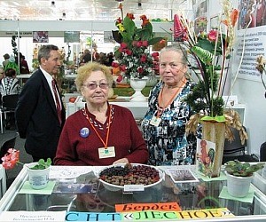 Общественная организация Новосибирский областной союз садоводов