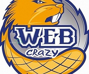 WEB-CRAZY Студия создания и продвижения сайтов.