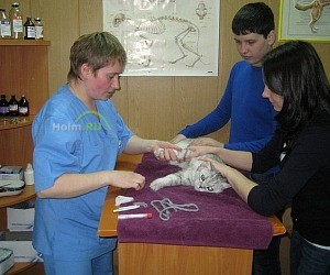 Ветеринарная клиника Кот Матроскин на улице Премудрова