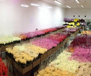 Магазин Городская база цветов на улице Исаева в Королёве