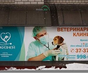 Ветеринарная клиника 9 жизней на Татарской улице
