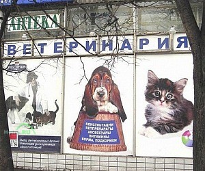 Ветеринарная аптека Ветэнималс на метро Алтуфьево