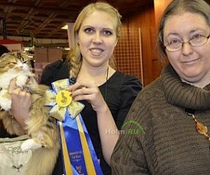 Ассоциация заводчиков породистых кошек Экстра-Кэт на улице Плахотного, 21