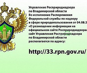 Росприроднадзор, Управление Федеральной службы по надзору в сфере природопользования по Владимирской области