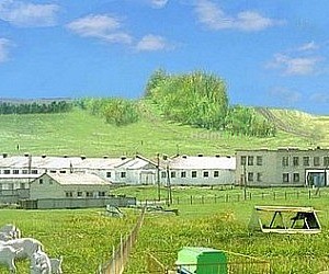 Всероссийский НИИ овцеводства и козоводства