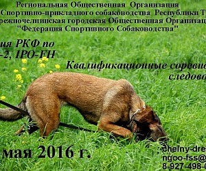 Федерация спортивно-прикладного собаководства Республики Татарстан