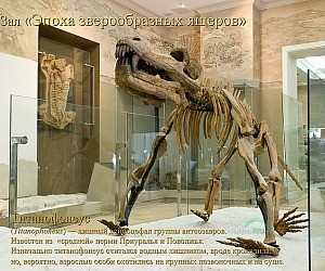 Музей естественной истории Татарстана на улице Кремль