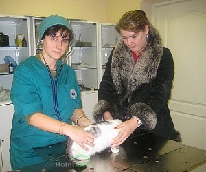 Ветеринарная клиника ЦАО в Красносельском районе