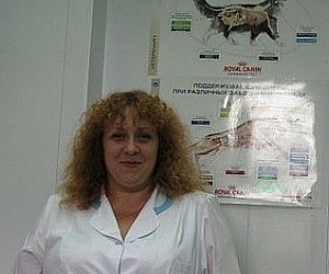 Ветеринарный центр в Кировском районе