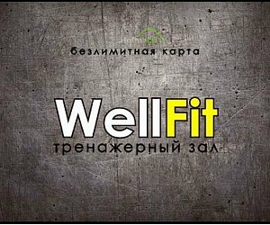 Фитнес-центр Wellfit на Академической