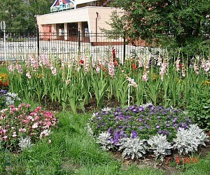 Магазин Цветущий сад на Трактовой улице