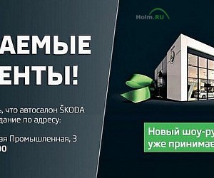 Торгово-сервисная компания Новокар