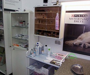 Ветеринарная клиника Vet Help на Ленинском проспекте