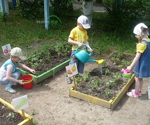 Детский сад № 63 общеразвивающего вида на улице Спутника