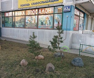 Ветеринарная клиника Доктор Хвост на Рублёвском шоссе