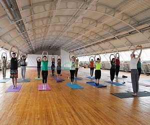 Zen Yoga Studio на Красном проспекте