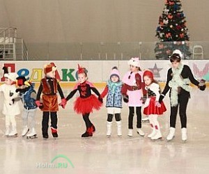 Центр спортивного развития «Ростов-на-льду»