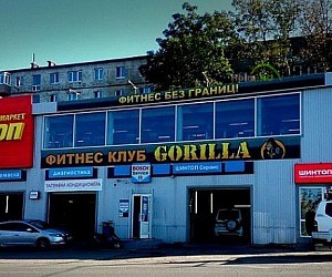Тренажерный зал Gorilla на улице Героя Вилкова