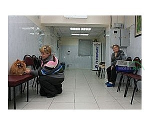 Ветеринарная клиника Веда в Свиблово