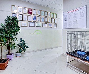 Ветеринарный центр А.М.Вет на улице Наташи Ковшовой
